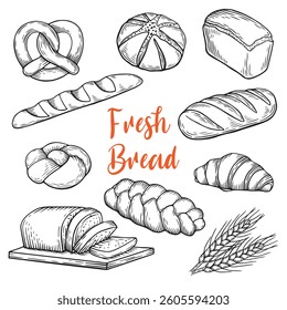 Line drawing illustration of bread. Engraving collection. Black hand drawing set of bakery items isolated on white background.