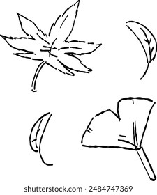 Line drawing illustration of colored leaves.