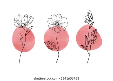 Line drawing illustration of a flower and watercolor paint, set of design materials, red paint and black line drawing.