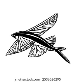 Line drawing illustration of flying fish. vector illustration.