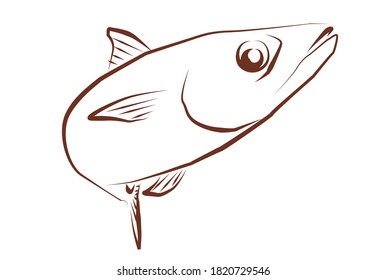 Line drawing illustration of mackerel.