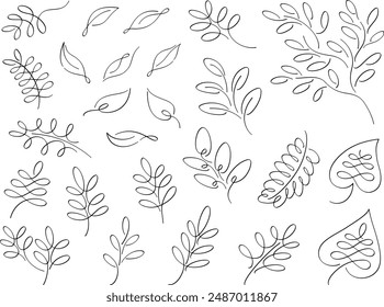 Line drawing illustration set of various plant branches and leaves in calligraphy style