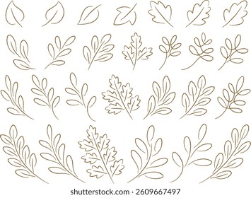Line drawing illustration set of various leaves and branches