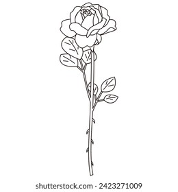 Line drawing illustration of a single rose, vector