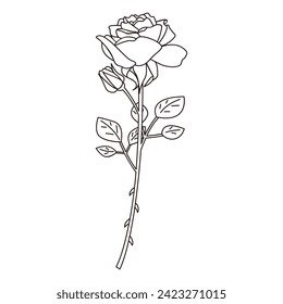 Line drawing illustration of a single rose, vector