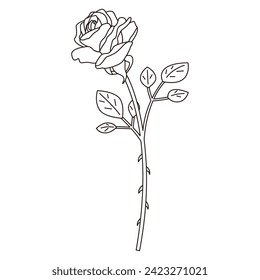 Line drawing illustration of a single rose, vector