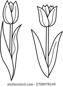 Ilustración de dibujo de línea de tulipán de flor de primavera