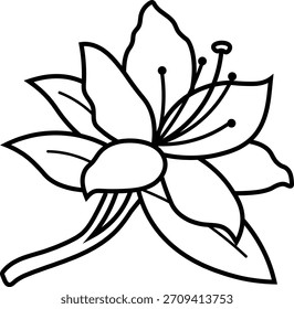 Ilustração de desenho de linha da azálea de flor de primavera