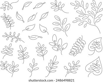 Line drawing illustrations of branches and leaves of various plants