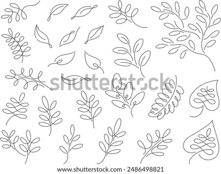 Line drawing illustrations of branches and leaves of various plants