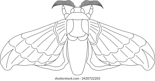 Line drawing insect single item icon silkworm