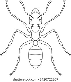 Line drawing insect single item icon ant