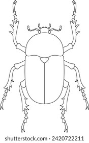 Line drawing insect single item icon beetle female