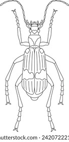 Line drawing insect single item icon Midelago beetle