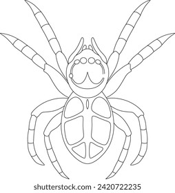 Line drawing insect single item icon jumping spider