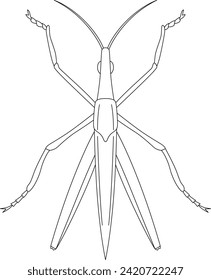 Line drawing insect single item icon: Scarlet grasshopper