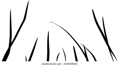 line drawing of irregular lines on a white background