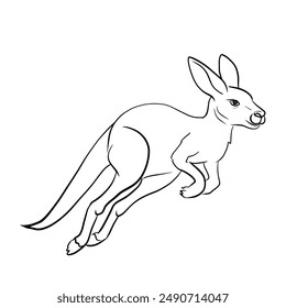 Line drawing of a kangaroo jumping.Vector illustration isolated on white.