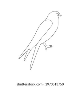 Line drawing kestrel bird tattoo. Vector Illustration. Free single line drawing of bird kestrel. Outline drawing of birds silhouette one line hand drawing continous art. Kestrel bird icon line drawn