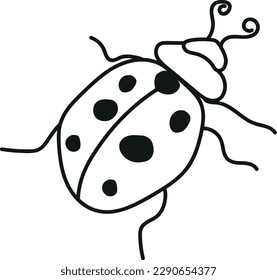 
line drawing of a ladybug