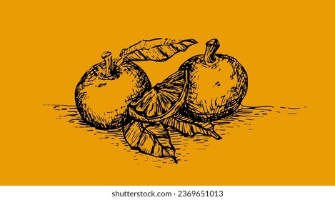 Line drawing lemon, lemon slice, vector.