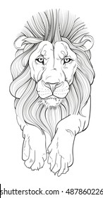 Line drawing of a lion's head with his paws. Vector illustration isolate on white background