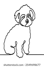 line drawing of maltipoo dog