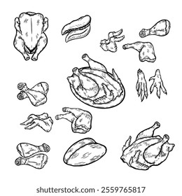 Line drawing of meat. Set of meat and meat products for label, sign, banner, sticker, advertisement. Vector black paint outline food sketch illustration with juicy piece of meat for healthy eating. Ve