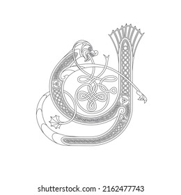 Line Drawing of a Medieval Initial Letter Y combining animal body parts from a Dog and a Fish with endless Celtic knot ornaments