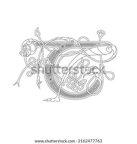 Line Drawing of a Medieval Initial Letter T combining animal body parts from a Dog and endless Celtic knot ornaments