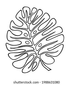 Line drawing  monstera leaf. Leaf tropical plant vector. Modern single line art, contour. For home decor such as posters, wall art, tote bag or t-shirt print, sticker, mobile case