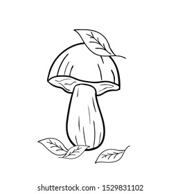 Line drawing mushroom with leaves on white isolated background. Food autumn illustration. Good well for coloring book pages.