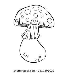 line drawing of mushrooms on white background It's a vector image.