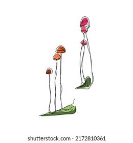 Line drawing mushrooms  Two mushrooms and colored spots pink   green  Mushrooms for print packaging 