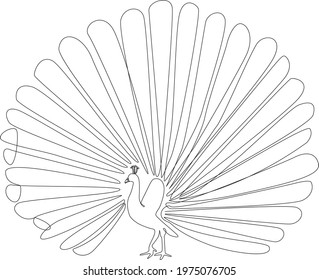 Line drawing Peacock tattoo. Vector Illustration. Free single line drawing of Peacock bird. Outline drawing of birds silhouette one line hand drawing art. Peacock bird icon line drawn Birds species