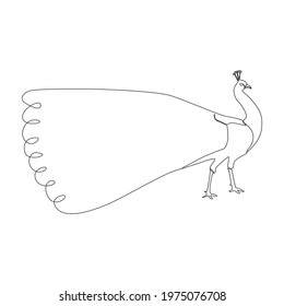 Line drawing Peacock tattoo. Vector Illustration. Free single line drawing of Peacock bird. Outline drawing of birds silhouette one line hand drawing art. Peacock bird icon line drawn Birds species