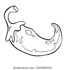 line drawing of pepper on white background is a vector image