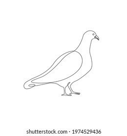 Line drawing pigeon or dove bird tattoo. Vector Illustration. Free single line drawing of pigeon. Outline drawing of pigeon bird silhouette one line hand drawing continous art. dove bird line icon