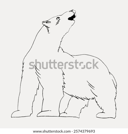 Line drawing of a polar bear standing on hind legs, roaring. Polar bear illustration with simple lines. Polar bear art in black and white. Vintage style art drawing, isolated vector element.
