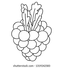 line drawing quirky cartoon bunch of grapes