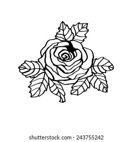 Line drawing rose.