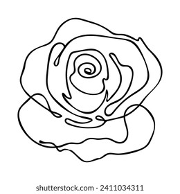 line drawing of rose flower vector illustration. Premium vector.