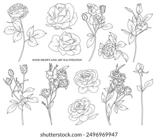  Line drawing rose flowers branch with leaves and buds, hand drawn vector line art illustration