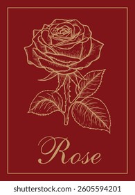 Line drawing rose on red background.