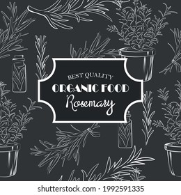 Line drawing of rosemary plant. Vector illustration.