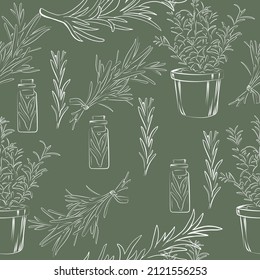 Line drawing of rosemary plant. Vector illustration.