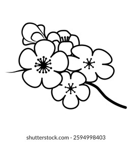 Line drawing of sakura flowers on a branch. Black and white, detailed petals and stamens, perfect for coloring pages, tattoo designs, or decorative elements.