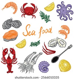 line drawing of seafood. Set of seafood for juice label. Vector black ink outline food sketch illustration with lobster, crab,fish, caviar, oyster, shrimp, squid