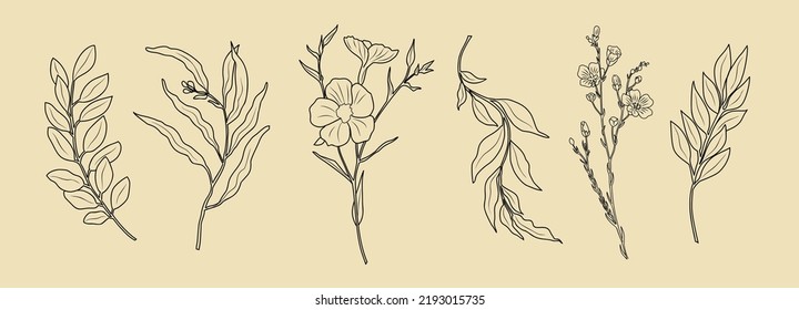 Line Drawing Set Of Flowers, Plants, Leaves Black Sketch Isolated on White Background. Simple Flowers One Line Illustration Set. Minimalist Botanical Drawing. Modern design for tattoo, wall art, logo.