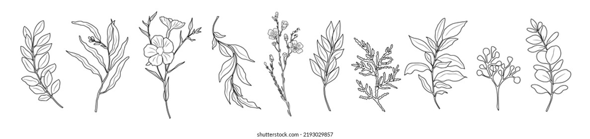 Line Drawing Set Of Flowers, Plants, Leaves Black Sketch Isolated on White Background. Simple Flowers One Line Illustration Set. Minimalist Botanical Drawing. Modern design for tattoo, wall art, logo.